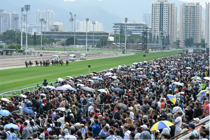 u8国际-连续三年入选香港盛事年表，这场赛马活动为什么能持续火爆|富卫保险|香港赛马会|赛马会|体育|比赛_新浪体育_新浪新闻